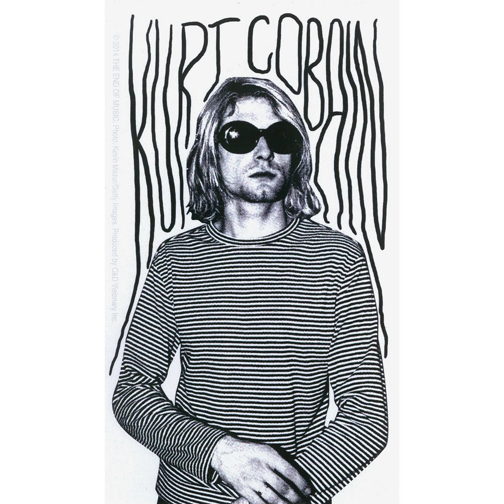 Nirvana Photo Sticker