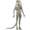 1/4 Scale Alien Action Figure