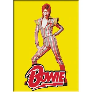 DAVID BOWIE Pose Magnet