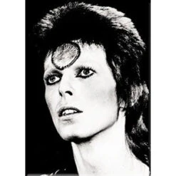 DAVID BOWIE Black & White Magnet
