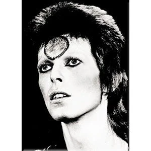 DAVID BOWIE Black & White Magnet