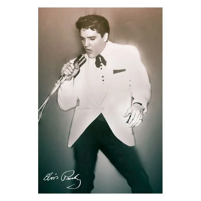 Concert Domestic Poster