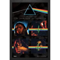 Pink Floyd DSOTM Band Live Framed Wall Art