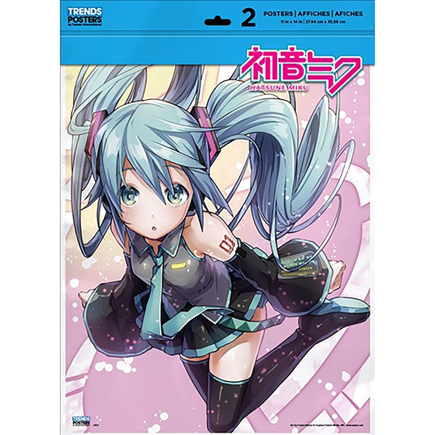 Poster 2-Pack (11'' X 14'') Domestic Poster - Image 2