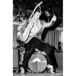 Hips Domestic Poster