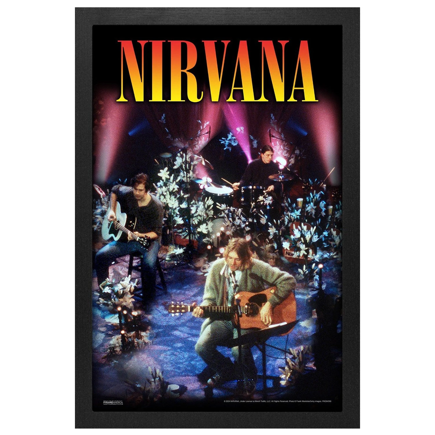 Nirvana Unplugged Framed Wall Art