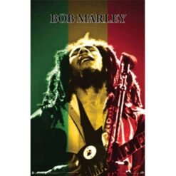 Rasta Stage Domestic Poster